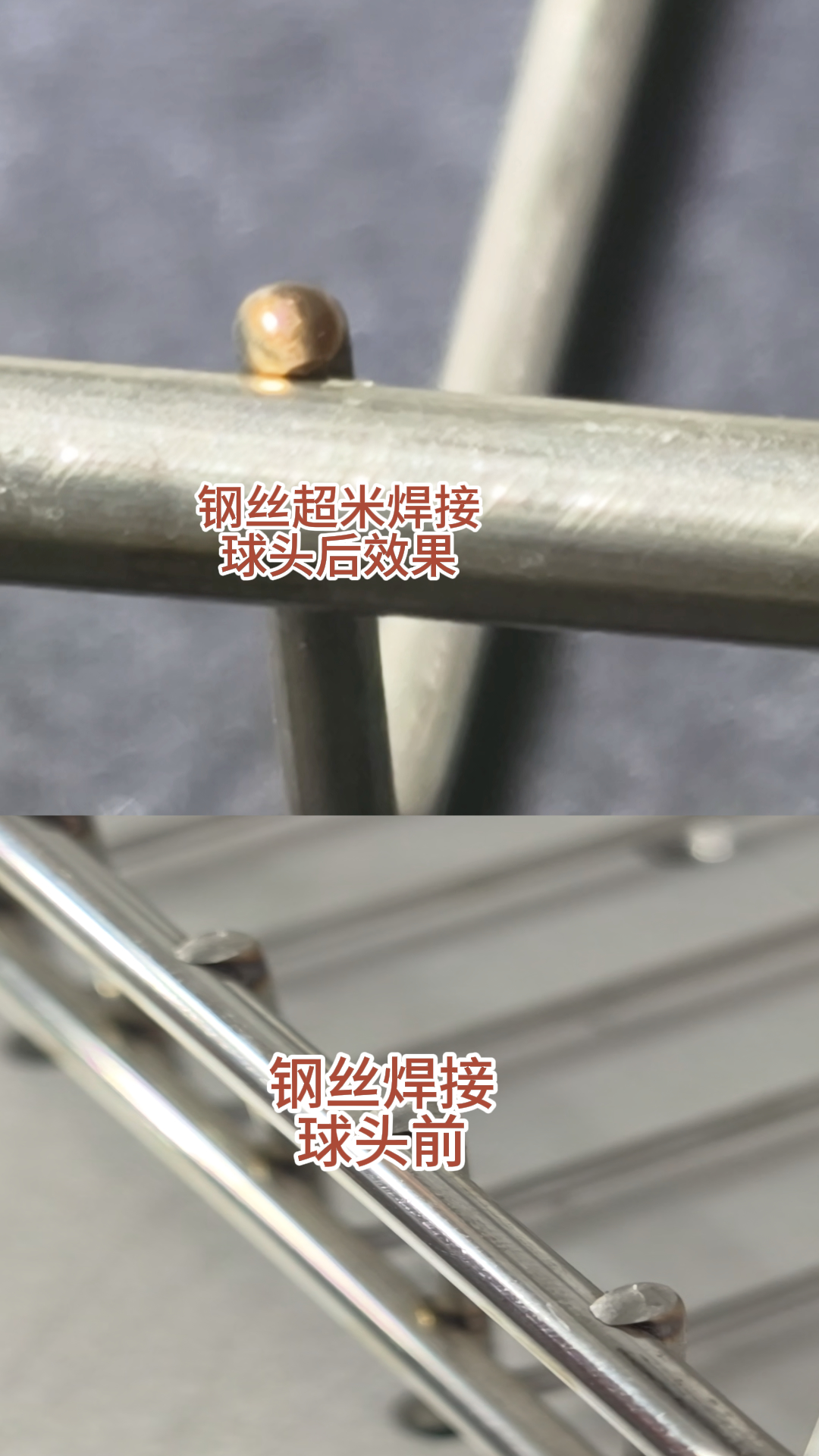 5月12日 (1)(2)